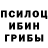 Псилоцибиновые грибы Cubensis Elena Sonntag