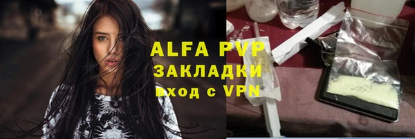 стаф Губаха