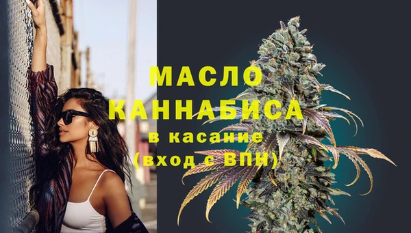 2c-b Бородино