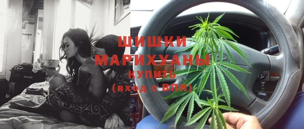 PSILOCYBIN Бронницы
