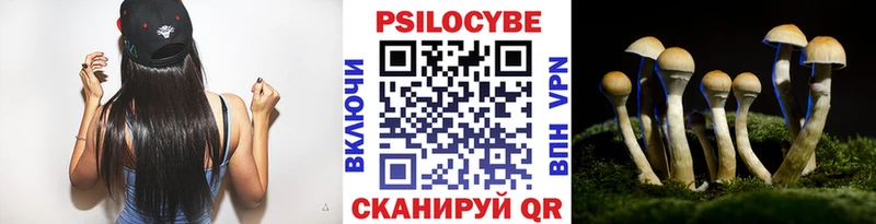 Псилоцибиновые грибы GOLDEN TEACHER  Городец 